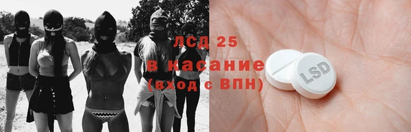 прущие грибы Белоозёрский