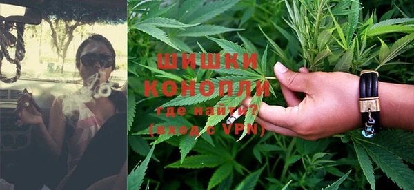 каннабис Белокуриха