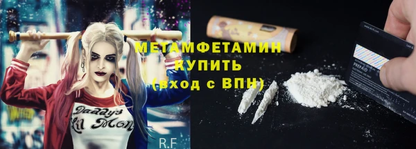 прущие грибы Белоозёрский